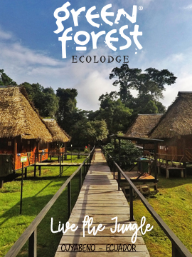 Green Forest Eco Lodge